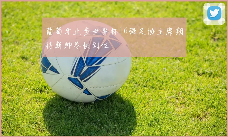 葡萄牙止步世界杯16强足协主席期待新帅尽快到位