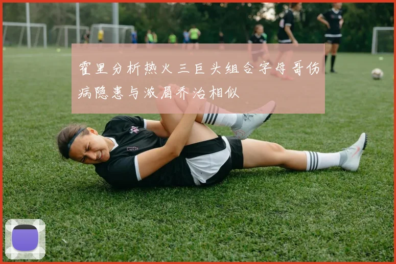 霍里分析热火三巨头组合字母哥伤病隐患与浓眉乔治相似